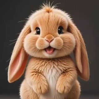 ✨Плюшка ТОЙС ✨ тут оживают рисунки 🪄