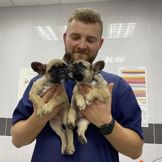 Павел Сорокин | Будни ветеринара