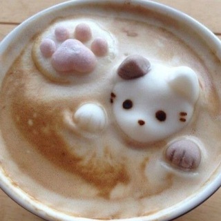 ⋆𝜗𝜚walk with the stars🪷