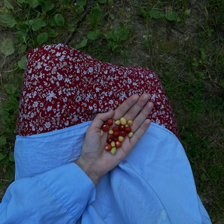 море по колено