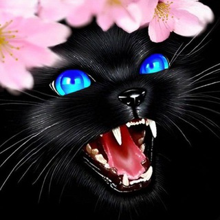 Полит Zагон