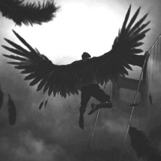 Троллейбус тут. | Bio