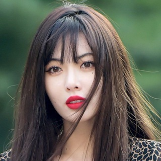 MT5 ST5 代理交流