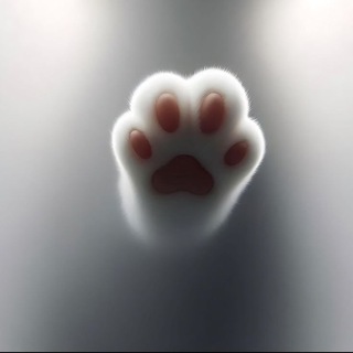 Живые Обои на телефон | Wallpapers