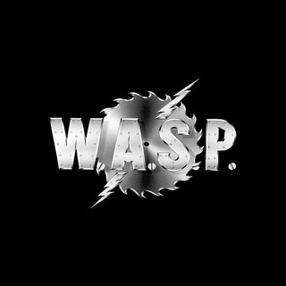 𝙒𝘼𝙎𝙋 // Заработок🛍