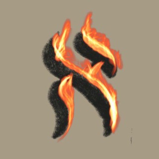 Смотри, как горят эти книги