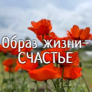 Образ жизни-СЧАСТЬЕ | Татьяна Харченко