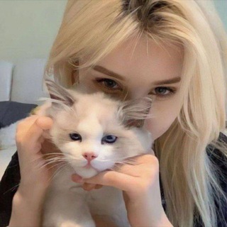 WB для ленивых