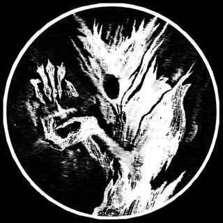 Sharkk переходник