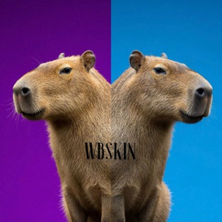 Находки Wb/Ozon