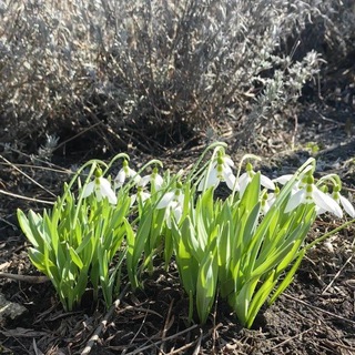 Погода города Белгорода