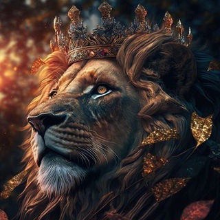 WEB3 💸 LOTTERS 😏😏