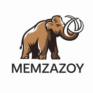 MEMZAZOY