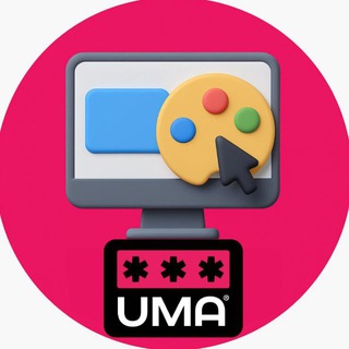WEB Дизайнер