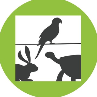 WebExoVet - Online school for Exotic Vets