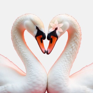 Красивые Локации для Свадьбы