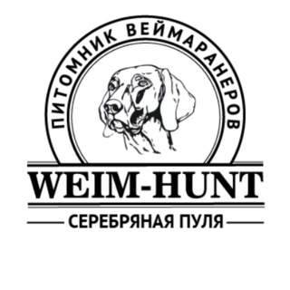 Питомник Веймаранеров Серебряная Пуля