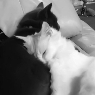 архив | не рисую зарисовки