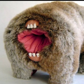 Всратые покупки 🛍