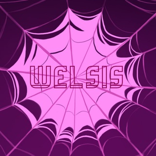 Welsis Group