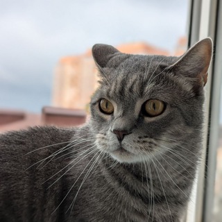 wergity ... (переходник)