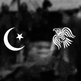 Из Варяг в Сарацины