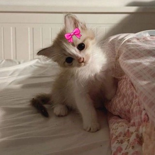 ও..диана таро::