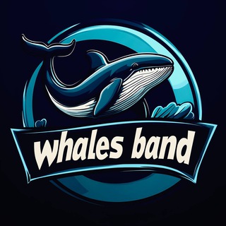 WHALES BAND