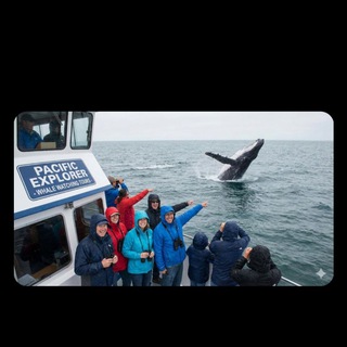Whale Watcher