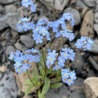 What WE’ve learned today📚