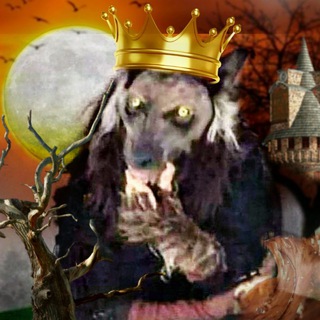 ⚜️🐺 WOLFHO 🐺⚜️