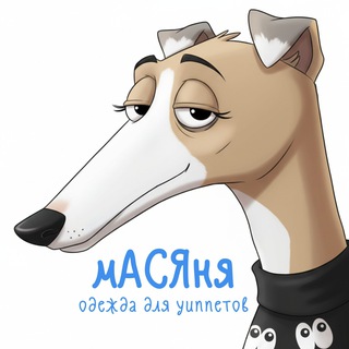 Одежда для уиппетов