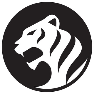 WTS - разработка мобильных приложений для бизнеса и стартапов l IT компания White Tiger Soft