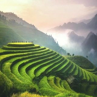 Почему ты еще не там?🌎