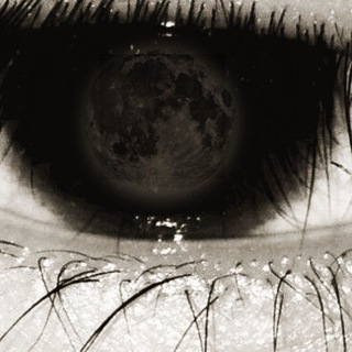 ктоанар? // эволюция