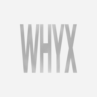 WhyX