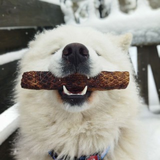 Самоедский переулок