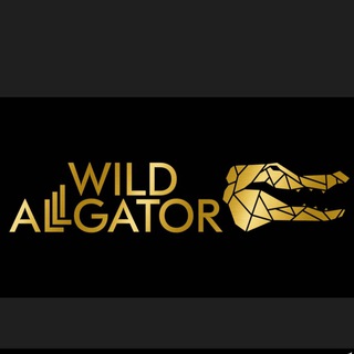 Wild alligator 🐊