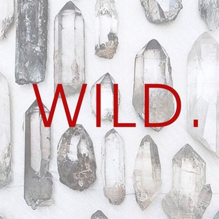 WILD_Minerals
