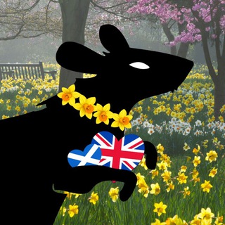 жизнь в дикой британии