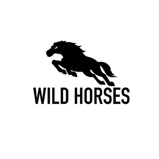 Wild Horses Analytics