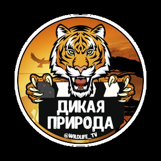 Дикая природа 🔞