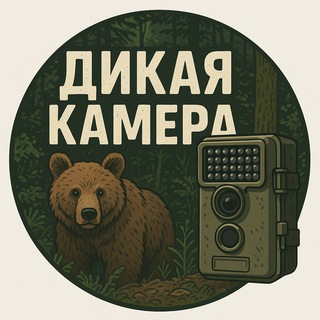 Дикая Камера: природа, животные, птицы, видео, wildlife, nature
