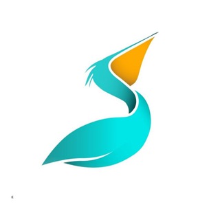 Дикая природа Юга