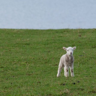 see you space cowboy…