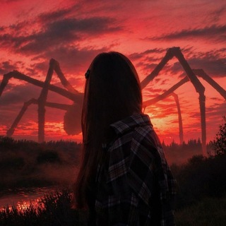 𓈒 ۫ ︩︪യ۫ E𐓣꯭ׄᦔִℓִᧉ͠ss wׄꪮ‌ִꭉꭉυᩛׄ . ꯭‹𝟹