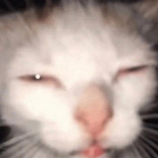 Вилли.пыныга