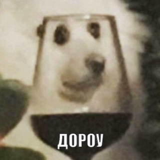 Вино, мемы и тревел