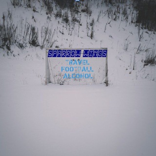 Wings of a sparrow🏟🍻