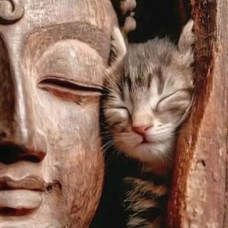 вилкапилка📍ногти челябинск